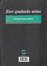 زیر گنبد مینا